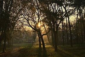 Nadchodzi najkrótszy dzień w 2025 roku. Sprawdź, kiedy przypadnie-12518