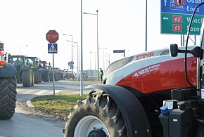 Rolnicy zapowiadają protest w całym kraju. Skala może zaskoczyć-12572
