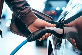 Coraz częściej dochodzi do takich kradzieży. Powody zaskakują-12740