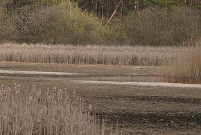 Staw Piegża w Lublińcu ponownie wysycha. Problem wraca po zimie