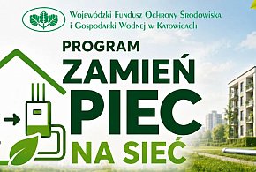 Nabór do programu „Zamień piec na sieć”. Nawet 250 tys. zł dotacji