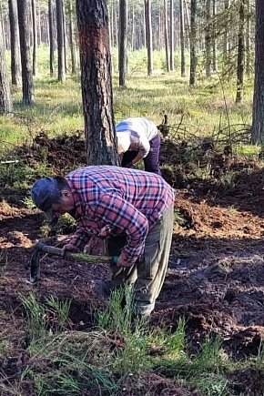 Nadleśnictwo Lubliniec. Poszukiwania w lesie-768