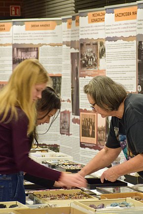 Kalcyt z Lubszy, goethyt z Bruśka, piryt z...-804