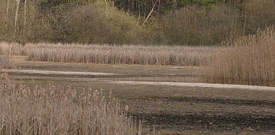Staw Piegża w Lublińcu ponownie wysycha. Problem wraca po zimie