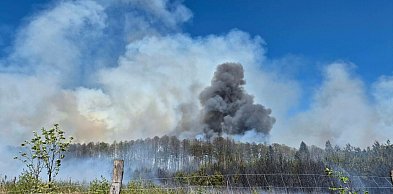 Pożar ok. 15 hektarów lasu koło Częstochowy