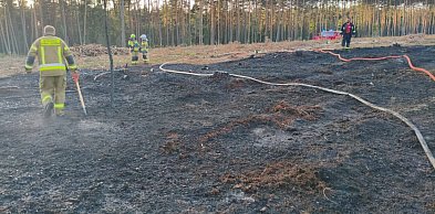 Powiat lubliniecki. Pożar lasu, kilka zastępów strażackich w akcji