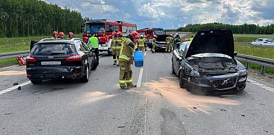 Druhowie z OSP Woźniki w akcji