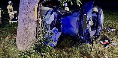 Powiat lubliniecki. Wjechał do rowu i uderzył w drzewo