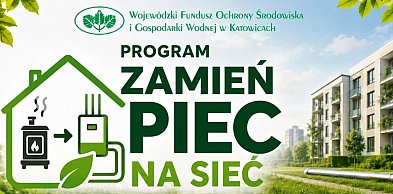 Nabór do programu „Zamień piec na sieć”. Nawet 250 tys. zł dotacji