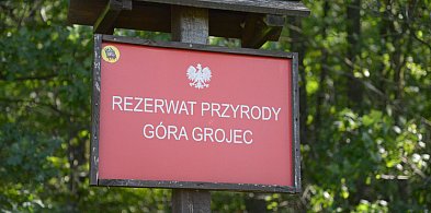 Rezerwat Góra Grojec w Nadleśnictwie Koszęcin-11799