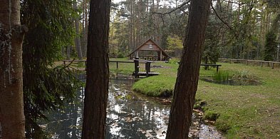 Spacer z leśnikiem nad rzeką Mała Panew-12012