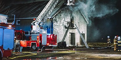 Pożar w Sadowie. Kilkadziesiąt zastępów strażackich w akcji-12044