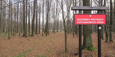 Nowe tablice w naszym rezerwacie-12402