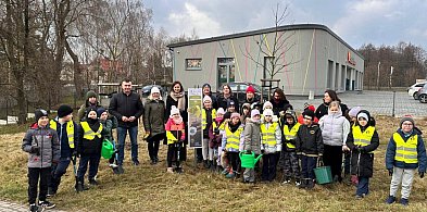 "Elektryczny Las" w Lublińcu. Uczniowie i urzędnicy posadzili 20 dębów-12444