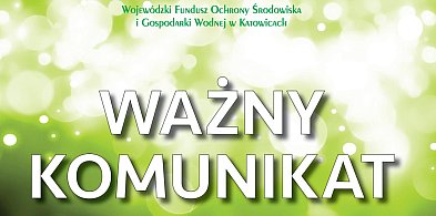 Program Czyste Powietrze do likwidacji? Fundusz dementuje-12510