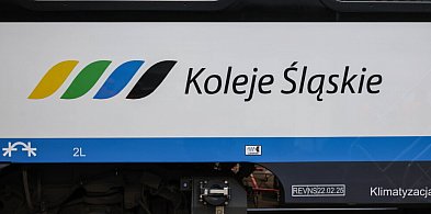 Koleje Śląskie uruchomią dodatkowy pociąg do Lublińca w sylwestra-12542