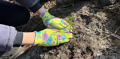 Mieszkańcy posadzili las z leśnikami w Lublińcu