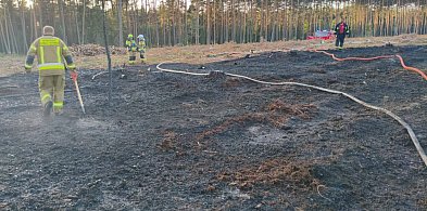 Powiat lubliniecki. Pożar lasu, kilka zastępów strażackich w akcji