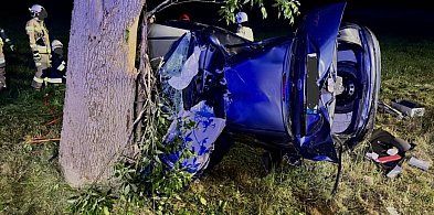 Powiat lubliniecki. Wjechał do rowu i uderzył w drzewo