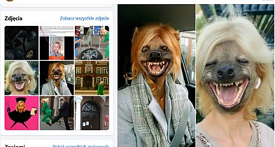 Lubliniec. Anonim i atak na radną powiatową-12315