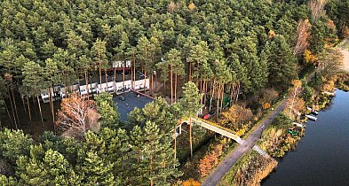 Nawet 300 tys. zł na rozwój firmy. Leśna Kraina Górnego Śląska zapowiada...