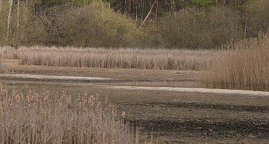 Staw Piegża w Lublińcu ponownie wysycha. Problem wraca po zimie