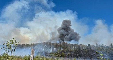 Pożar ok. 15 hektarów lasu koło Częstochowy