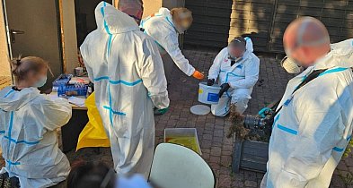 Lubliniecki. SG zlikwidowała laboratorium narkotykowe oraz zabezpieczyła broń