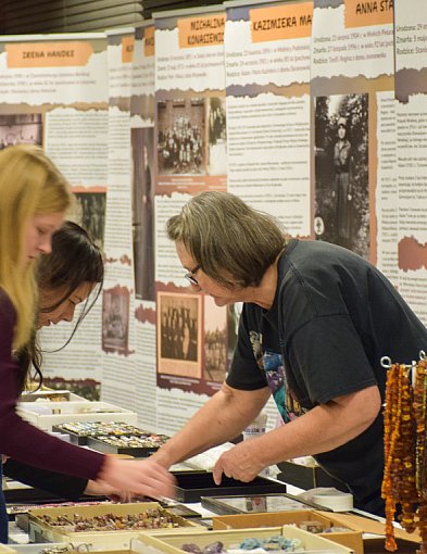 Kalcyt z Lubszy, goethyt z Bruśka, piryt z Lipia Śląskiego-12498