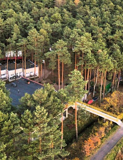 Nawet 300 tys. zł na rozwój firmy. Leśna Kraina Górnego Śląska zapowiada...