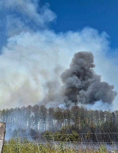 Pożar ok. 15 hektarów lasu koło Częstochowy