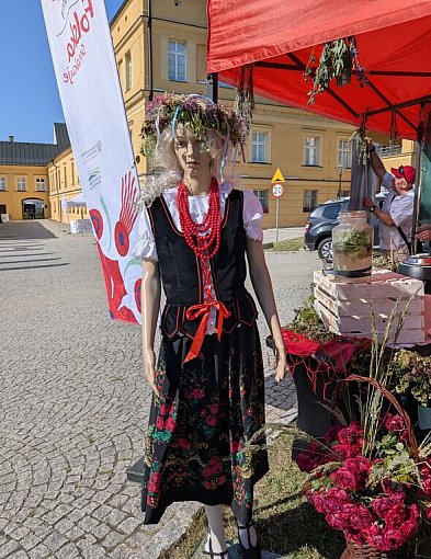 Koncerty, pokazy sprzętu wojskowego, śląskie smaki. Święto Śląska