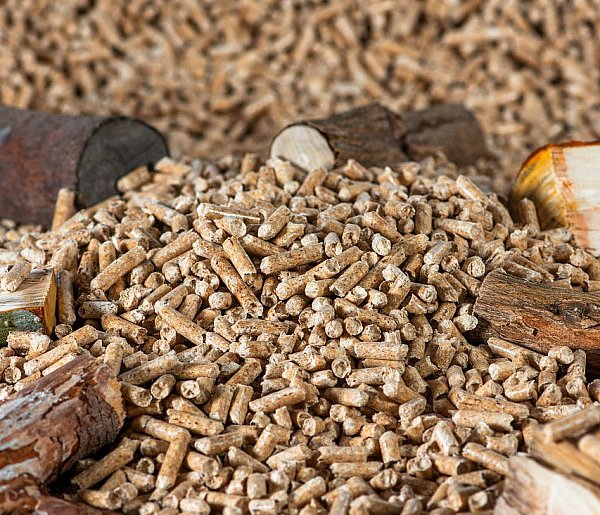 Drożeje popularny opał. Miliony Polaków dostaną po kieszeni tej zimy-12069