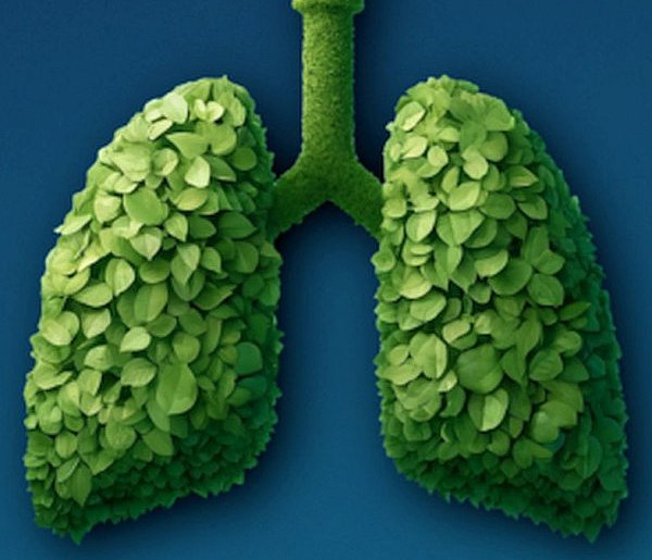 Herby: dyżur ekodoradcy już 10 grudnia. Bezpłatne konsultacje dla...-12423