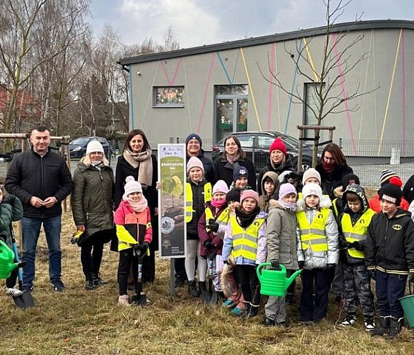 "Elektryczny Las" w Lublińcu. Uczniowie i urzędnicy posadzili 20 dębów-12444