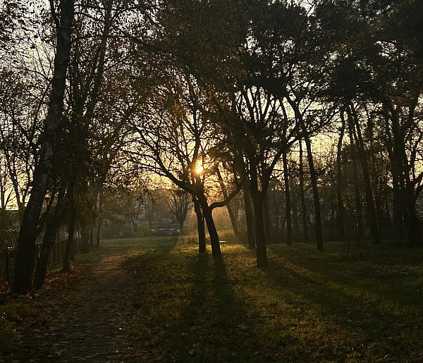 Nadchodzi najkrótszy dzień w 2025 roku. Sprawdź, kiedy przypadnie-12518