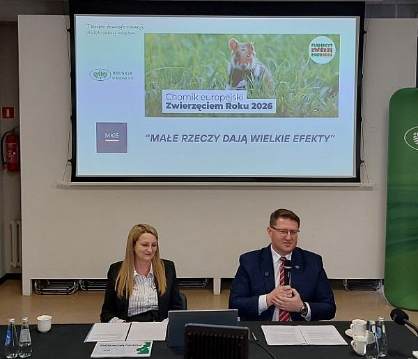 WFOŚiGW w Katowicach podsumował 2025 rok – miliardy na ekologię