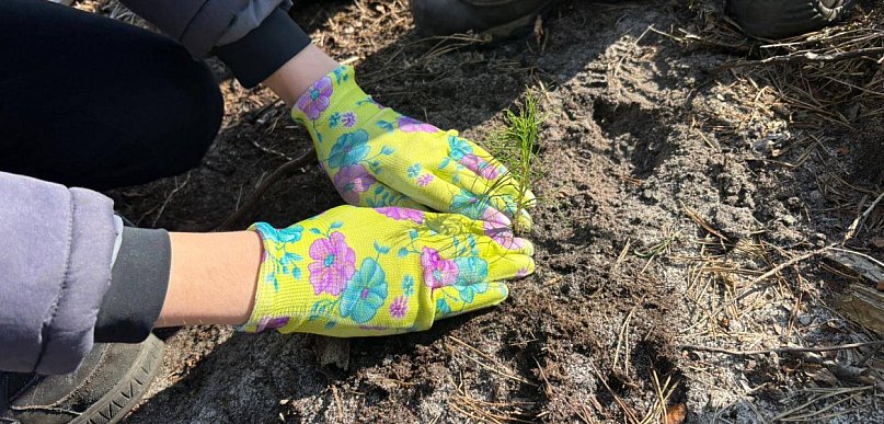 Mieszkańcy posadzili las z leśnikami w Lublińcu