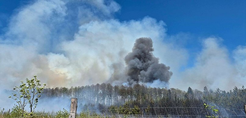 Pożar ok. 15 hektarów lasu koło Częstochowy
