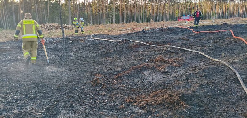 Powiat lubliniecki. Pożar lasu, kilka zastępów strażackich w akcji