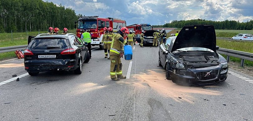 Druhowie z OSP Woźniki w akcji