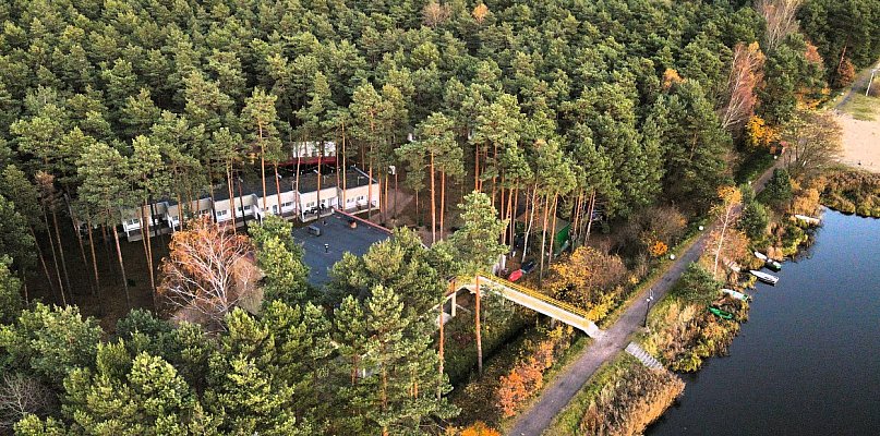 Nawet 300 tys. zł na rozwój firmy. Leśna Kraina Górnego Śląska zapowiada...