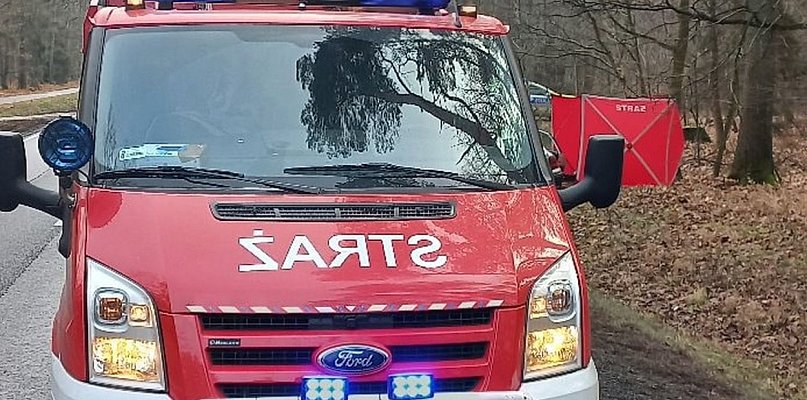 Śmiertelny wypadek na DK 11 w powiecie lublinieckim