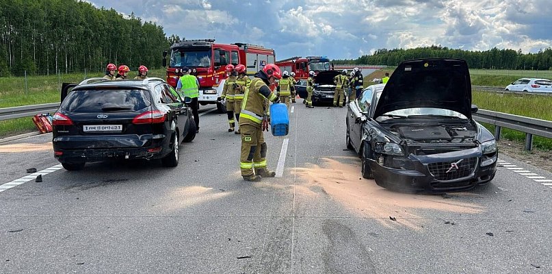 Druhowie z OSP Woźniki w akcji