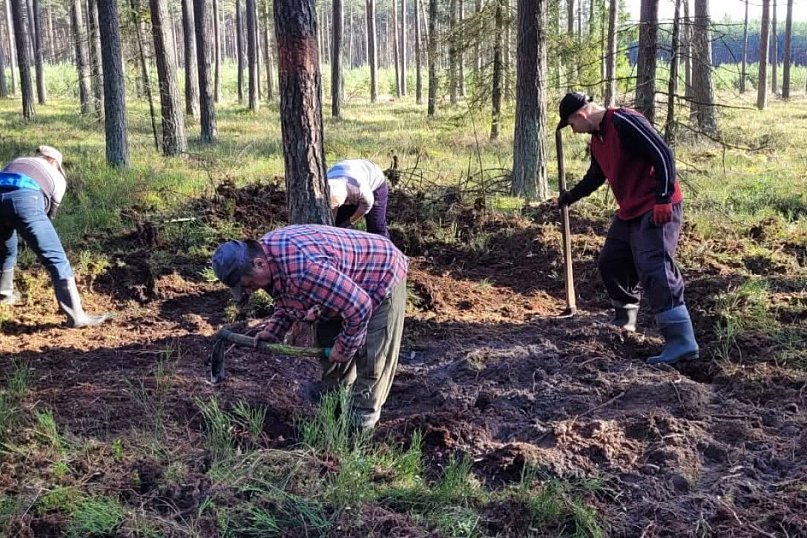 Nadleśnictwo Lubliniec. Poszukiwania w lesie