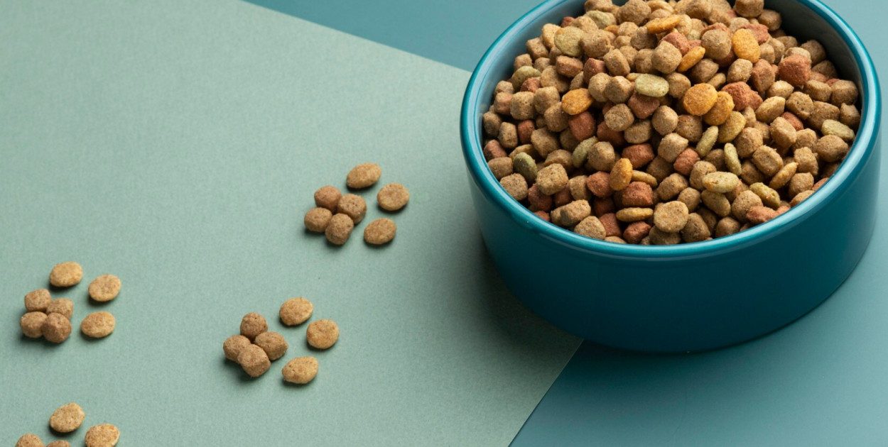 Czy karma bezzbożowa jest lepsza?