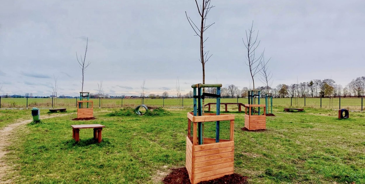 Na wybiegu dla psów Psia Baza Zachód przy ul. Wilniewczyca w Lublińcu posadzono 6 klonów.  Fot. Archiwum UM Lubliniec