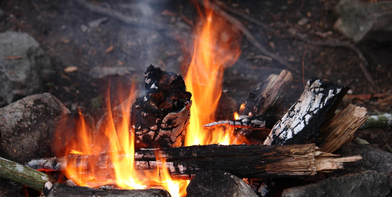 Obraz Steen Jepsen z Pixabay