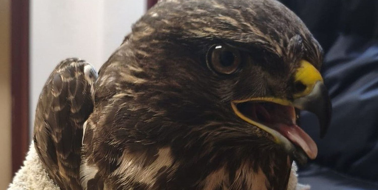 Zdjęcia z archiwum policji