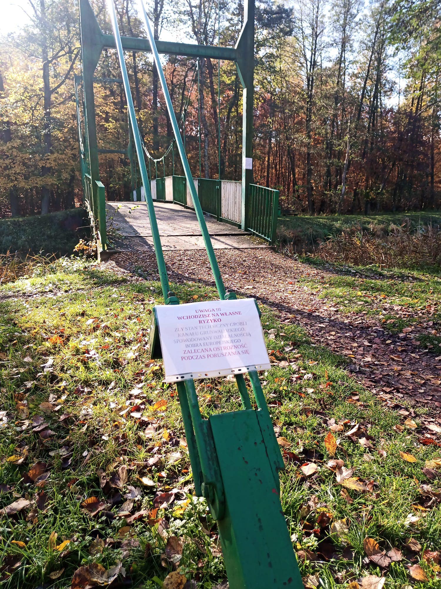 Fot. FB Anny Jończyk-Drzymały Fot. FB Anny Jończyk-Drzymały